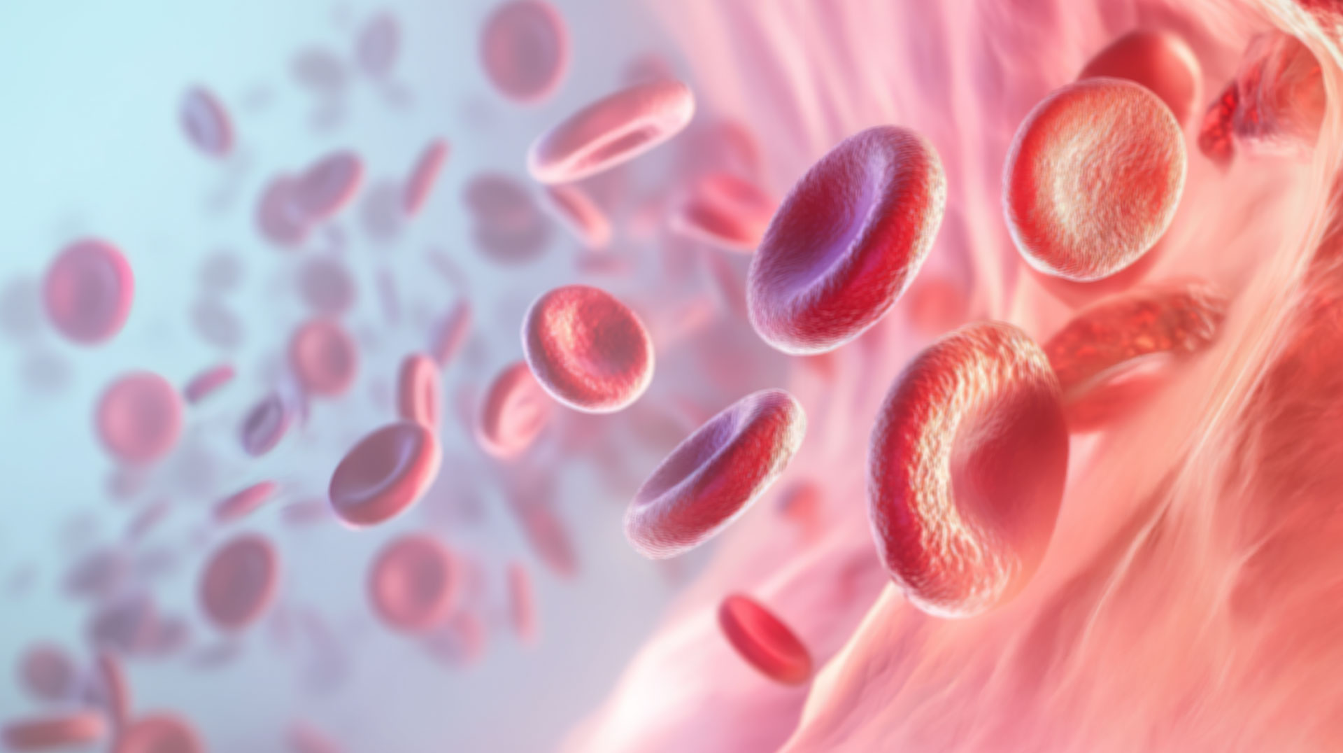 motiv-haematologie-web